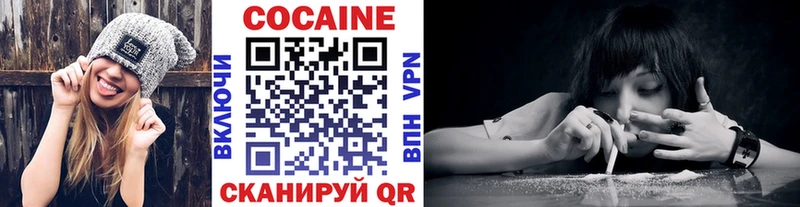 Cocaine FishScale  Купить закладки  Облучье 