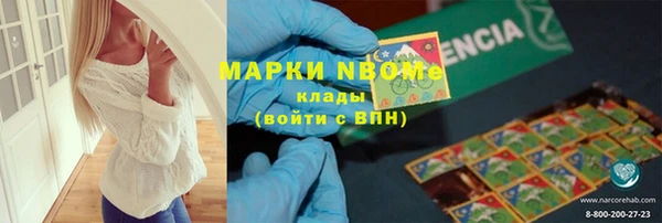 сатива Верхний Тагил