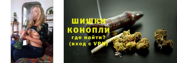 сатива Верхний Тагил