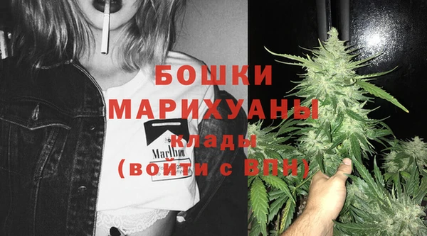 сатива Верхний Тагил