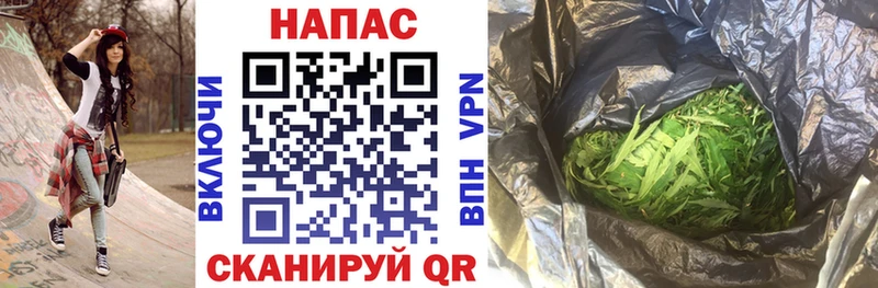 Купить закладки  Облучье  Канабис планчик 